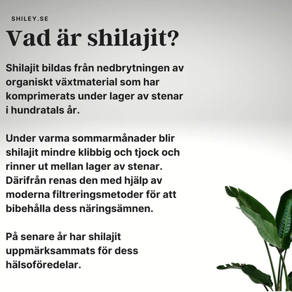 Shilajit Resin 45g