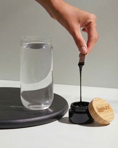 Shilajit Resin 45g