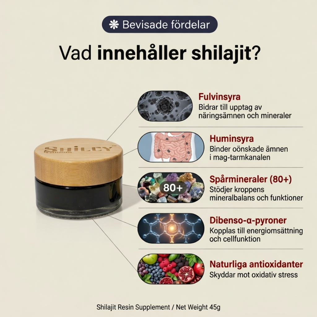 Shilajit Resin 45g